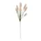 26" Pink Bunny Tail Grass Stem by Ashland®